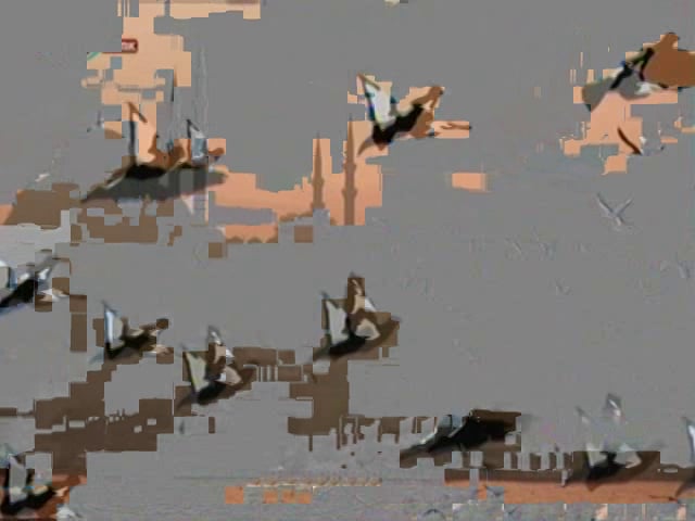 Boğaziçi Arşivleri TRT Türk Açık Şehir Programı'nda