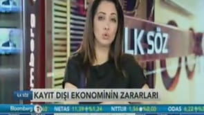 Boğaziçi Üniversitesi'nden Doç. Dr. Ceyhun Elgin Bloomberg HT'de