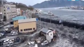 Tsunami Farkındalık Günü'nde Prof. Dr. Haluk Özener TRT Haber'de
