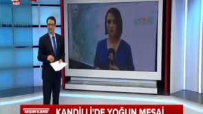 KRDAE'nden Prof. Dr. Ali Pınar, A Haber canlı yayın konuğu