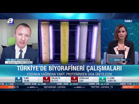 Boğaziçi Üniversitesi Dr.Öğretim Üyesi Berat Haznedaroğlu A Para'nın konuğu