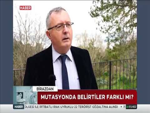 Bölgesel deprem ve tsunami