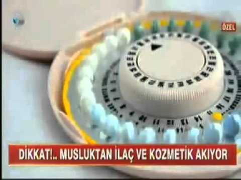 Prof. Dr. Nilsun İnce Kanal D Ana Haber'in konuğu oldu