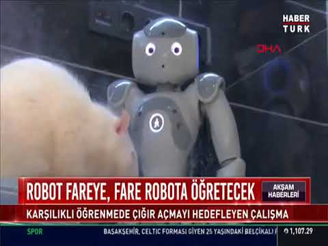 Robot fareye fare robota öğretecek