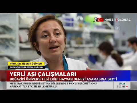 Kovid-19 Yerli Aşı Çalışmaları