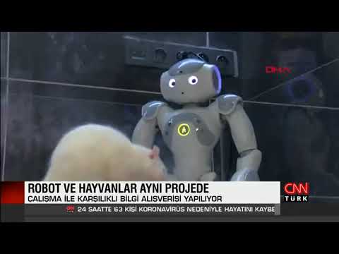 Robot ve hayvanlar aynı projede