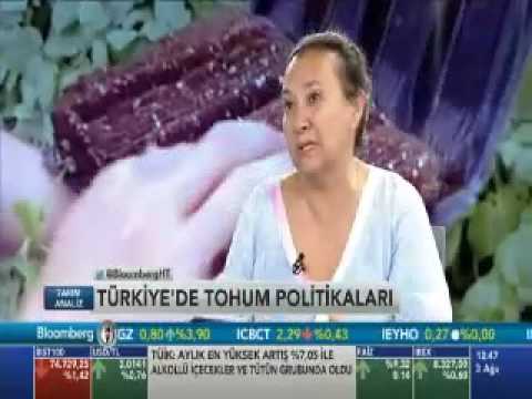 Prof. Dr. Neşe Bilgin