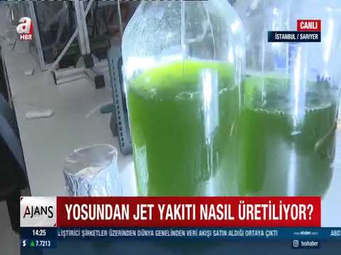 Yosundan jet yakıtı üretimine başlandı