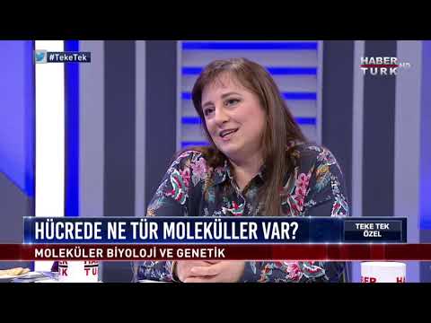 BÜ Moleküler Biyoloji ve Genetik Bölümü öğretim üyeleri Esra Battaloğlu ve Nesrin Özören Habertürk TV'de