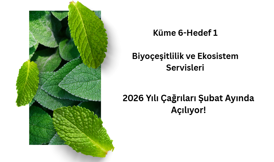 Ufuk Avrupa Küme 6: Biyoçeşitlilik ve Ekosistem Hizmetleri-Tek Aşamalı Çağrıları