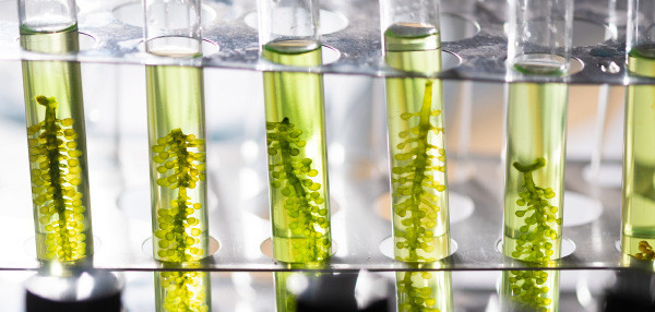 Enerji Çalıştayı