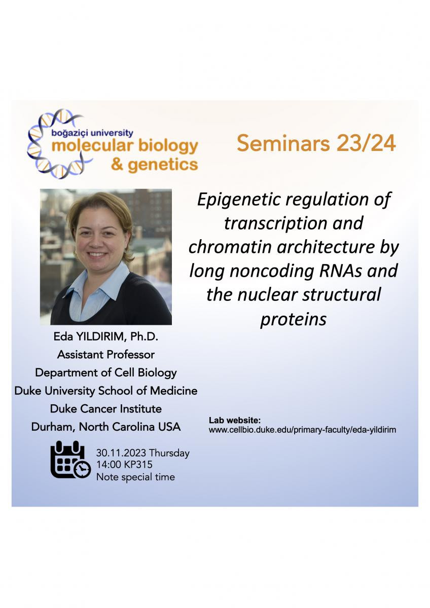 Seminar - Epigenetic regulation of transcription and chromatin architecture by lnRNAs and nuclear structural proteins