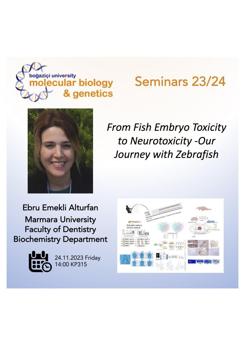 Seminar - From fish embryo toxicity to neurotoxicity