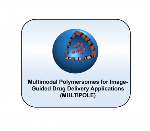 Development of Multimodal Polymersomes for Image-Guided Drug Delivery Applications (MULTIPOLE)