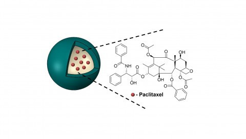 Design and Fabrication of Polymeric Nanocapsules for Controlled Delivery of Lipophilic Anticancer Drugs