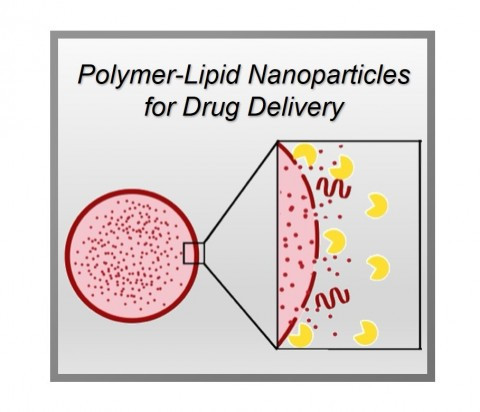Design and Synthesis of Biopolymer Shell-Solid Lipid Core Hybrid Nanoparticles for Drug Encapsulation