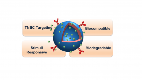 Development of Biopolymer-Lipid Hybrid Nanocarriers for Trageted Therapy of Triple-Negative Breast Cancer 
