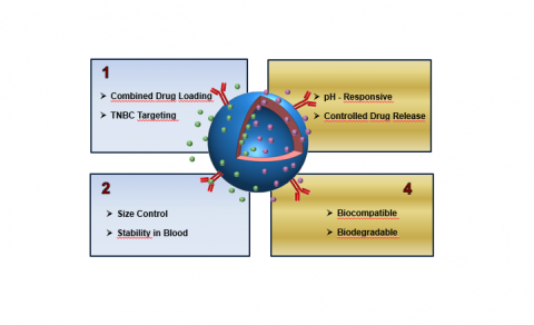 A Novel Therapeutic Approach with Smart Nanomedicines for Aggressive Triple-Negative Breast Cancer