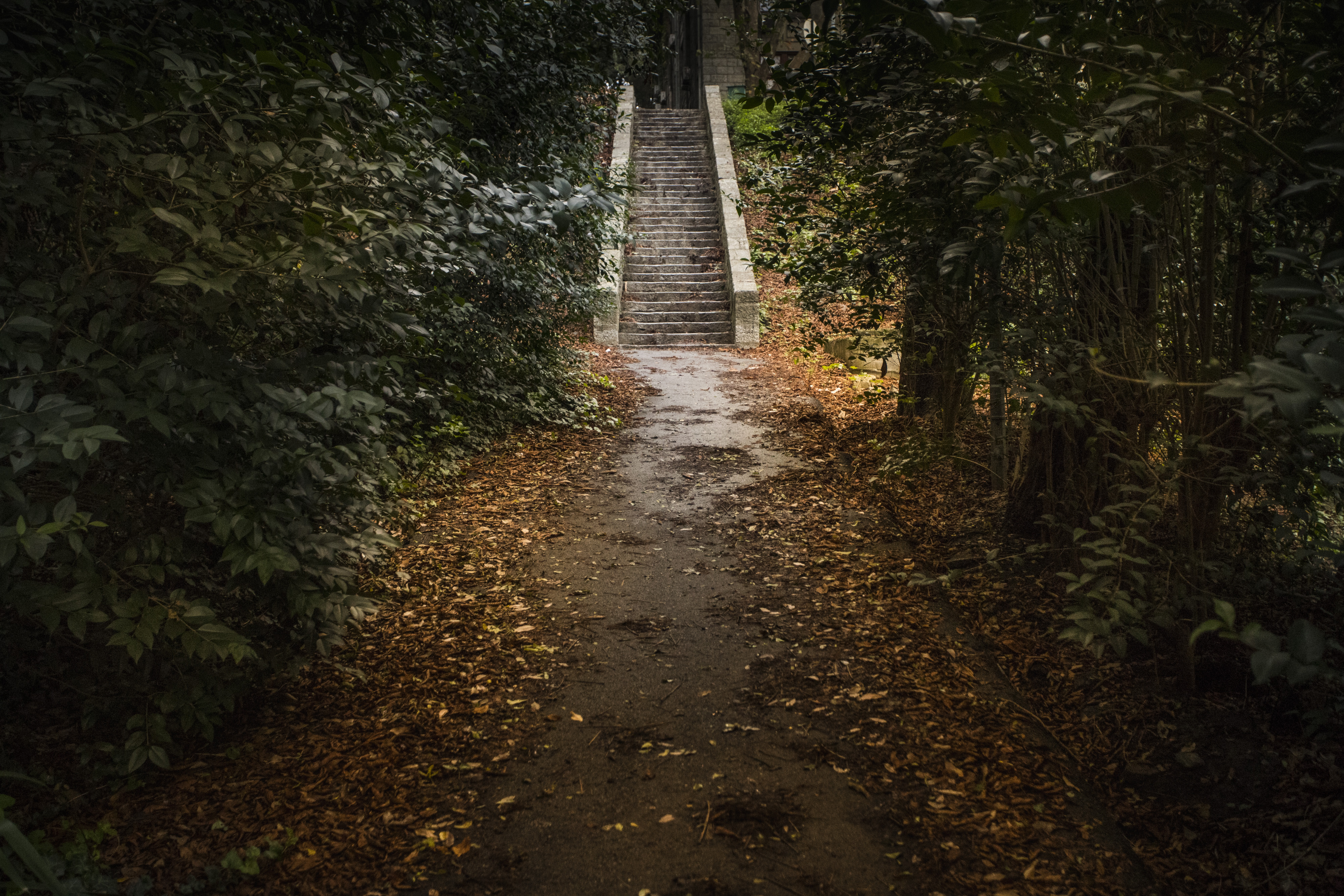 Boğaziçi Manzaraları