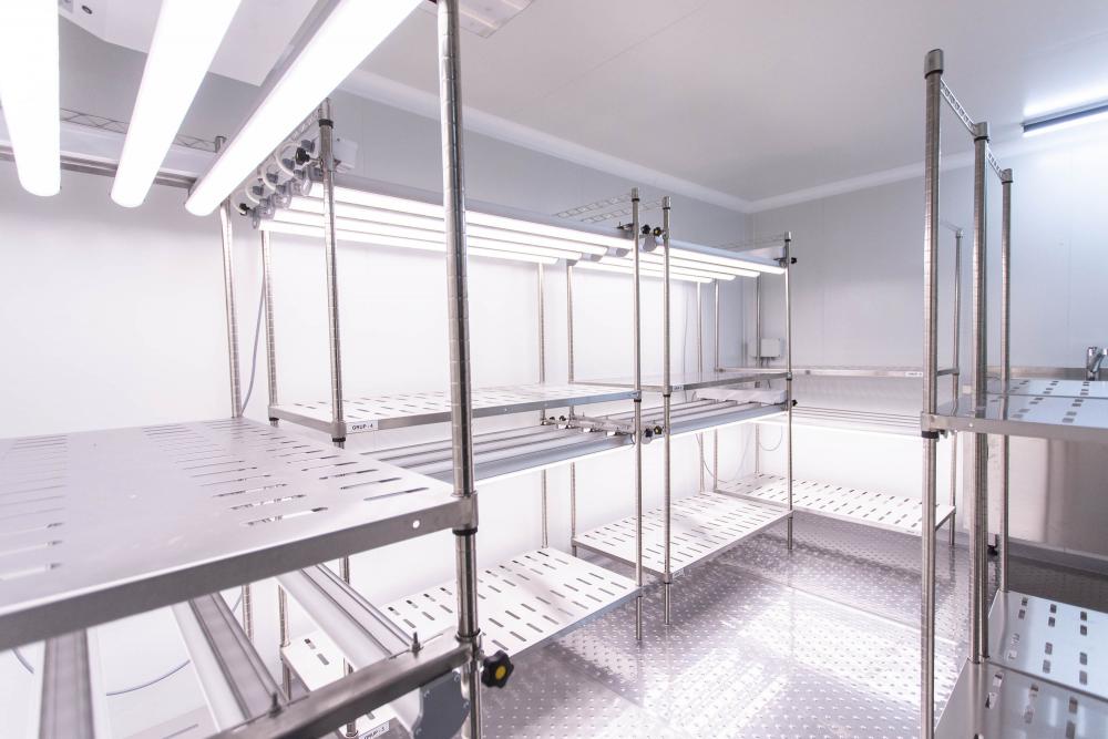 “Understanding the molecular basis of symbiotic nitrogen fixation is the key to more sustainable agriculture in the future”