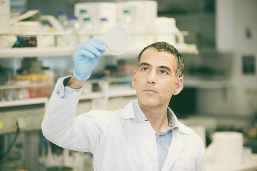 Kanseri odağında yok eden çığır açıcı hedefli tedavi