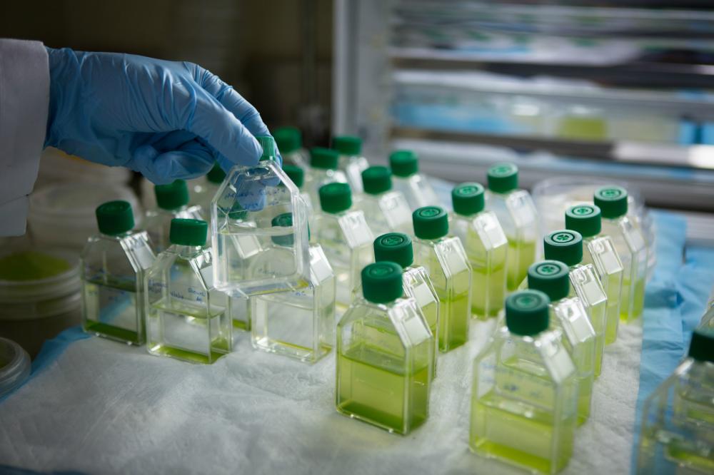 Gıda, çevre ve enerjide dünyaya çözüm sunan bir kampüs