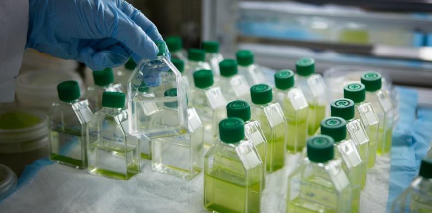 Boğaziçi University - Cambridge University partnership for a future focused on bioeconomy