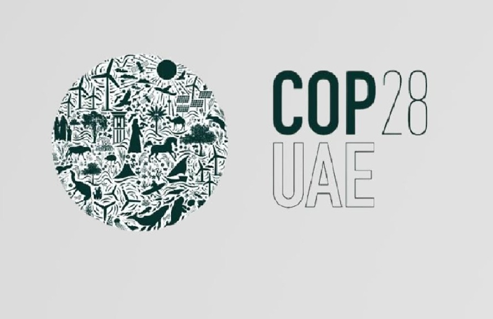 COP 28: ROLE OF UNIVERSITIES FROM DECARBONIZATION TO NET ZERO