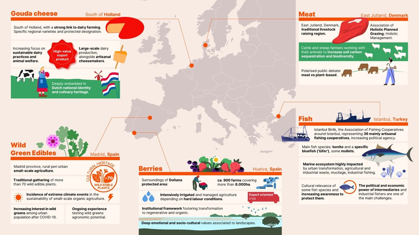 Horizon Europe Support for Boğaziçi University's "RESHAPE" Project