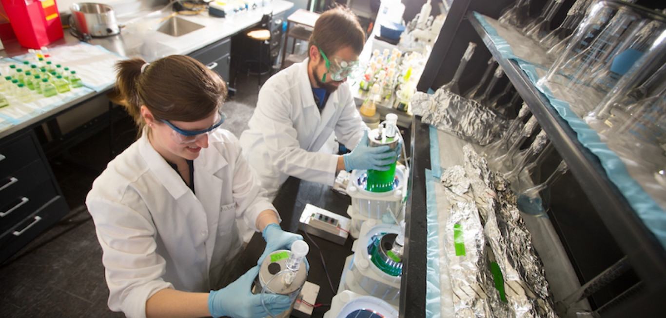 Deneyimli uzman personel