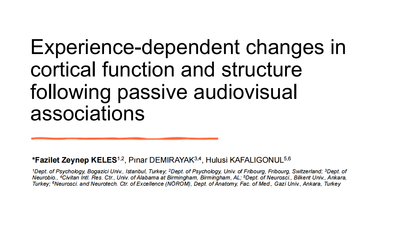 We presented at the 2025 Society for Neuroscience (SfN) Annual Meeting in San Diego