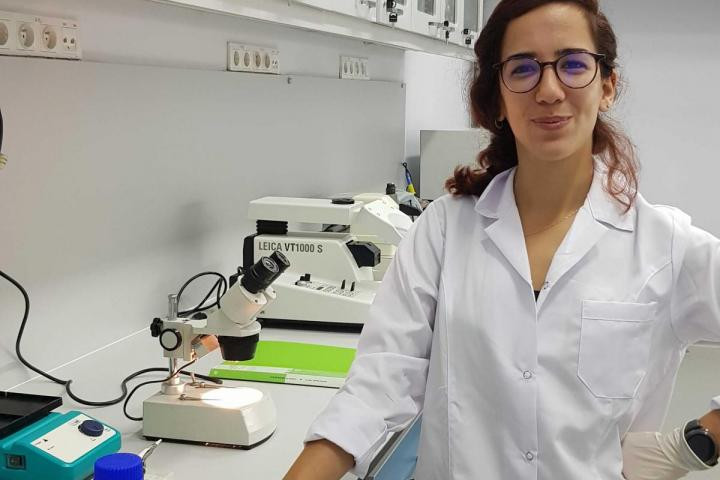 Alev received a travel award to SfN