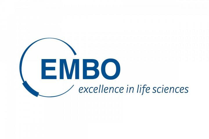 EMBO Installation Grant received!