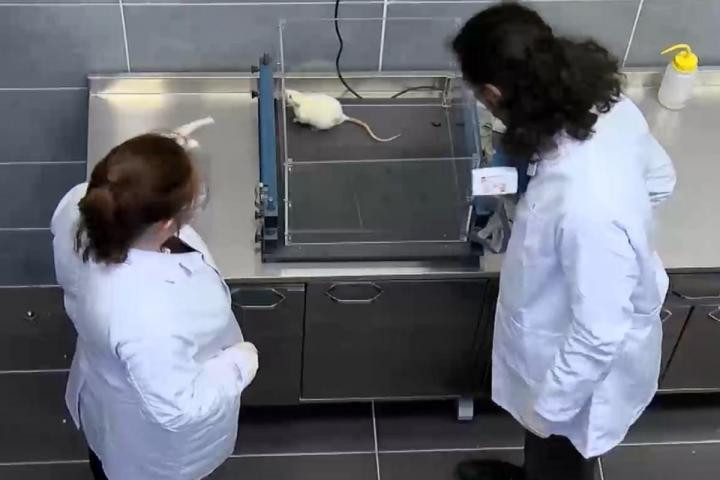 DHA covered our research