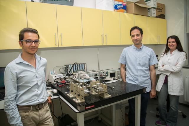 Makine mühendisinden kas mekaniğine yenilikçi bakış