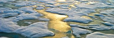 Uzmanlardan iklim araştırması: ‘'Türkiye'deki don olayları'' incelendi