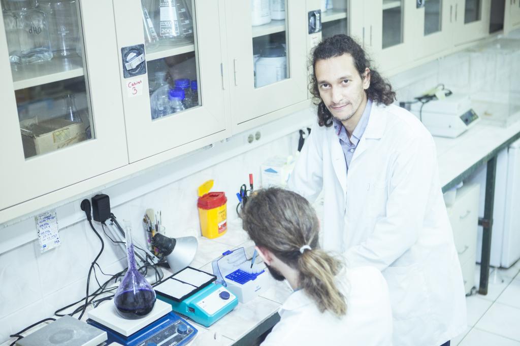 Korkunun hafızası nasıl çalışır?