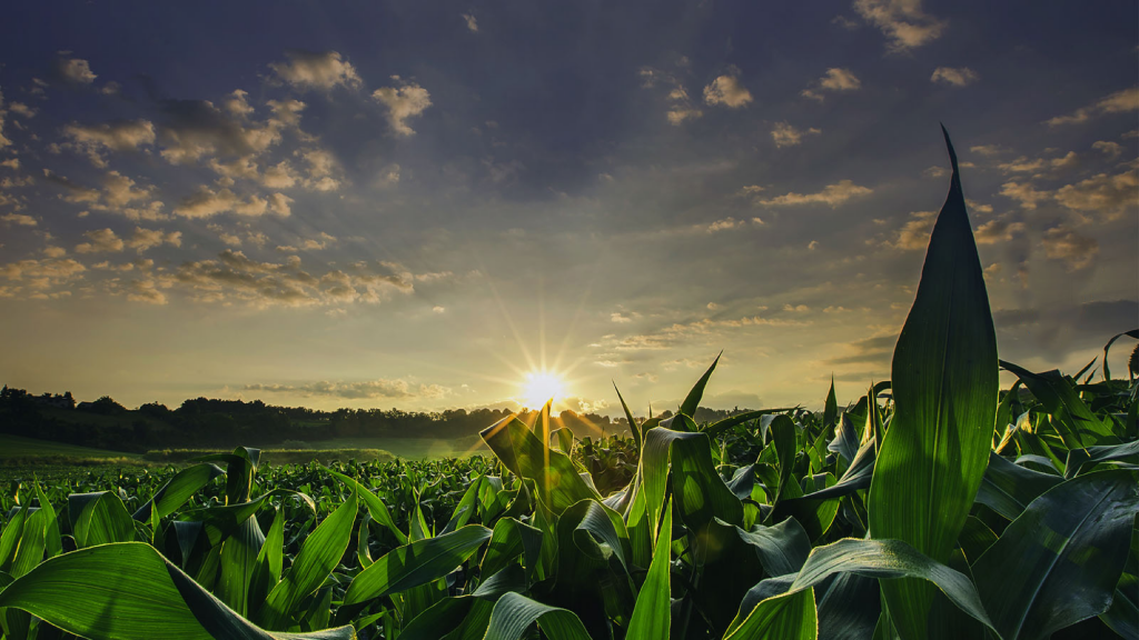 Boğaziçi Üniversitesi'nden tarım sektörüne yönelik yenilikçi bir eğitim programı