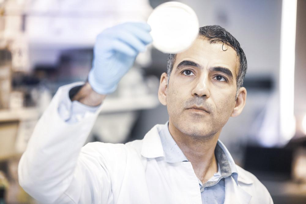 BÜ öğretim üyesi Doç Dr. Umut Şahin protein biyokimyasını araştırıyor #BoğaziçiBuzz