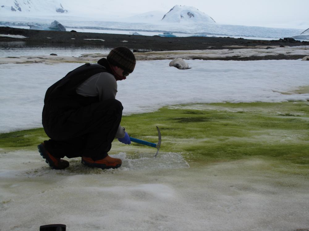 Yeni nesil biyoteknolojik ürünlerin izini Antarktika'da sürecek araştırma