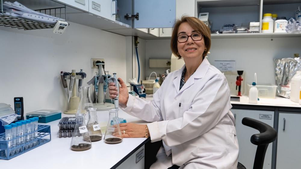 Boğaziçi Üniversitesi'nden Antibiyotik Direncine Yönelik Kapsamlı Araştırma