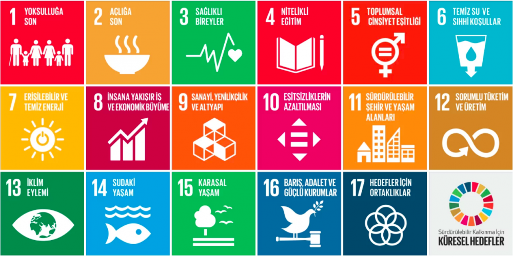 Sürdürülebilir Kalkınma Raporu: "Dünya Hayati Önemdeki SKA'larda Yerinde Sayıyor"