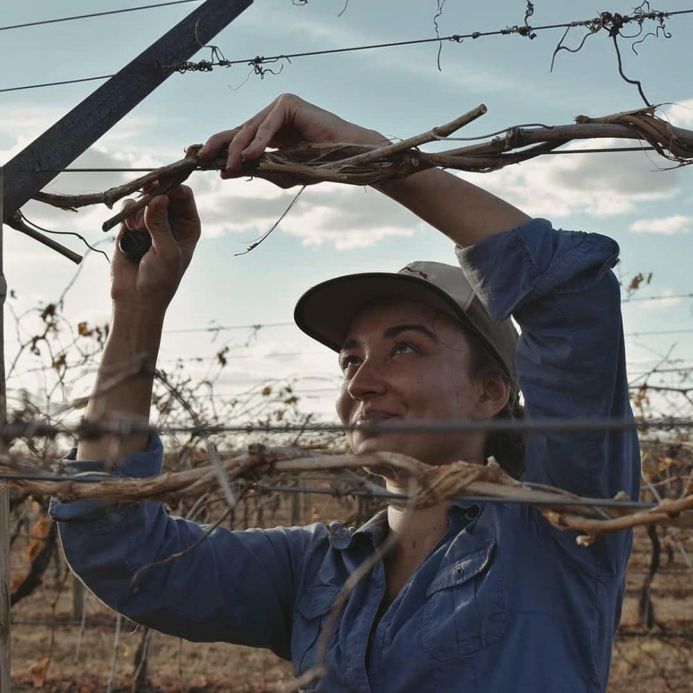 Güney Çimler'den Avustralya'nın Tarlalarına Bir Gezgin Hikâyesi