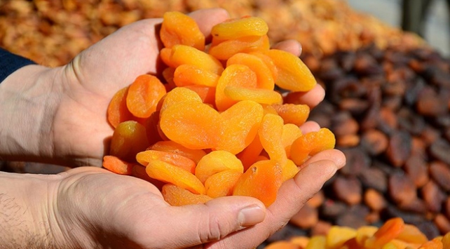 İklim Değişikliği ve Politikaları Uygulama ve Araştırma Merkezi araştırdı: Malatya kayısısı için tehlike çanları!