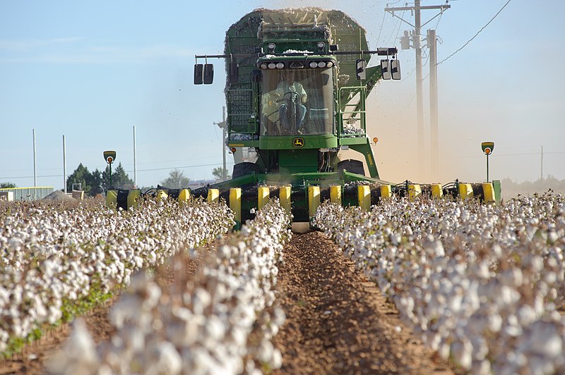 Dijital Pamuk projesiyle ekonomiye yüzde 10 katkı