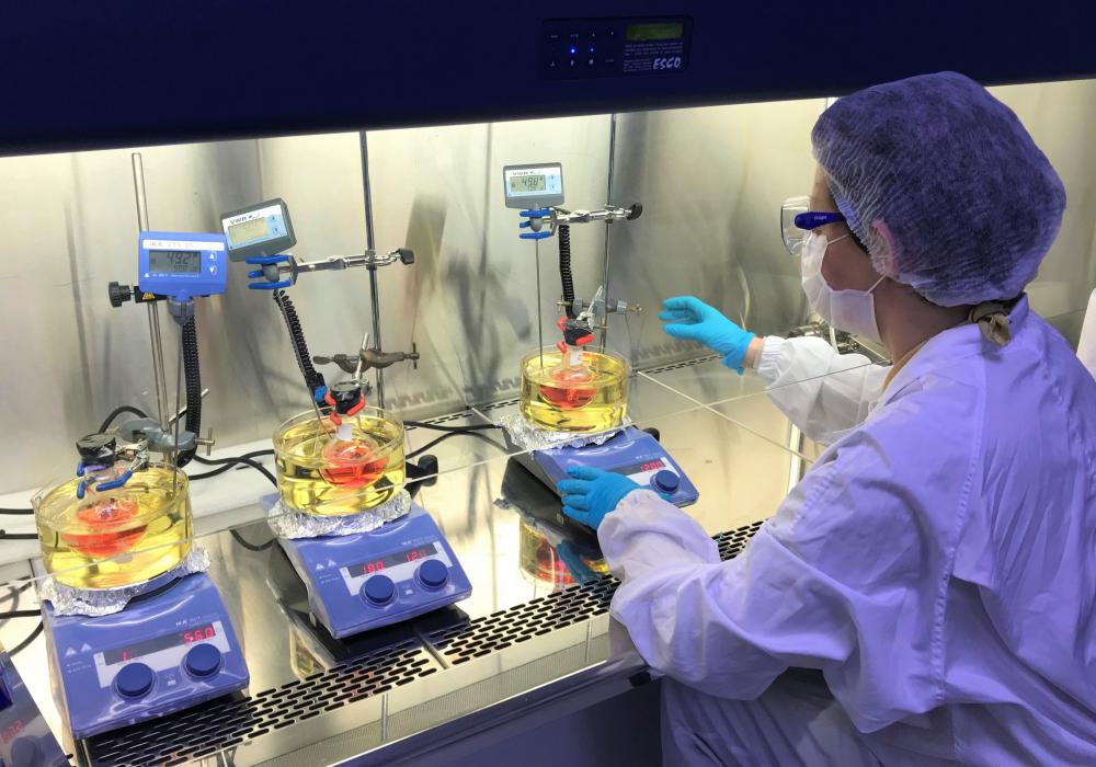 Prof. Dr. Rana Sanyal kanser alanında elde edilen tecrübeyi koronavirüs mücadelesinde kullanacak