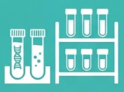 Kültür Koleksiyonu