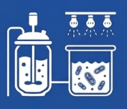 Microalgae Cultivation