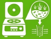 Microalgae Processing