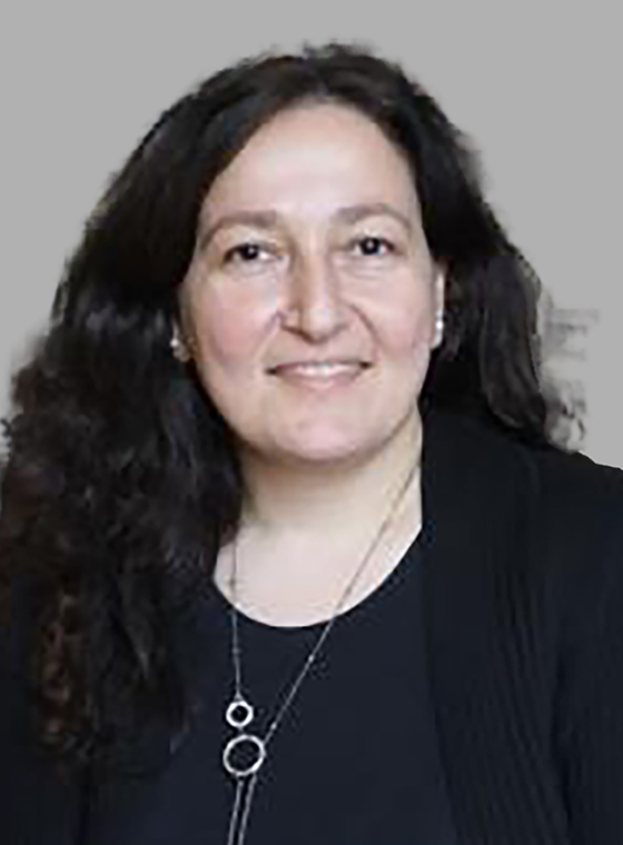 Öğretim Üyesi
